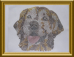 Bügelbild Strass Golden Retriver Goldy