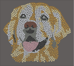 Bügelbild Strass Golden Retriver Goldy