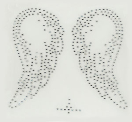 Große Flügel Strass 101208