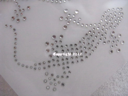 Strass Bügelbild 2 Echsen Salamander 120213