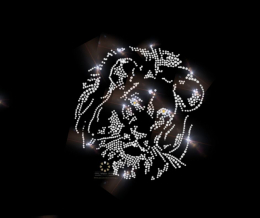 Löwenkopf Hotfix Strass Bügelbild - Majestätischer Glanz 100405