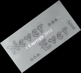 Hotfix Bügelbild Strass Spruch  Never Ever ! 120719