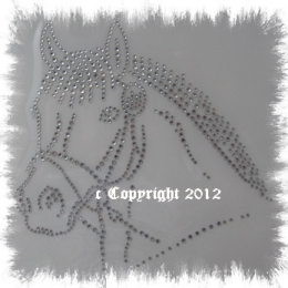Bügelmotiv Strass hübscher Pferdekopf Reiten Chrystal 120318