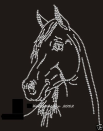 Hotfix Strass Bügelbild Applikation Pferd TOLLER Pferdekopf 150301