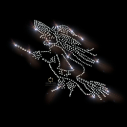 Strass Bügelbild, Hexe, Karneval, Applikation, Strassmotiv, Bügelbilder 120820