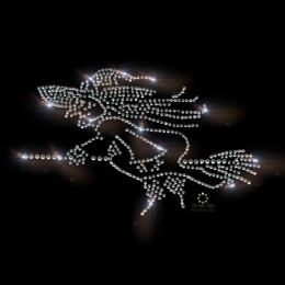 Strass Bügelbild, Hexe, Karneval, Applikation, Strassmotiv, Bügelbilder 120820