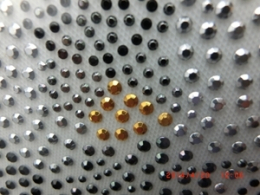 Hotfix Strass Bügelbild Cavalier King Charles Spaniel Black and Tan