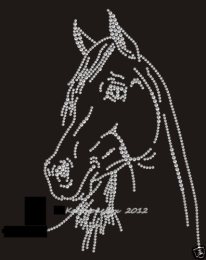 Bügelbild Strass Pferd TOLLER Pferdekopf 150301