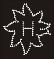 Strass Bügelbild Brandzeichen Haflinger klein in SS4 131206-14sc