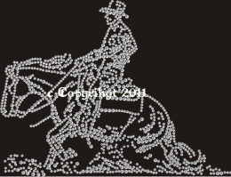 Hotfix Bügelbild Strass Pferd Western Cowboy Sliding 120924