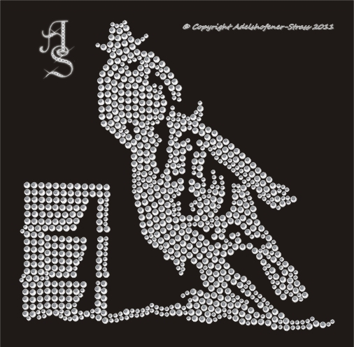Strass Bügelbild Westernreiter Barrel Racing 110905 Crystal