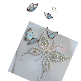 Hotfix Strass Bügelbilder Strass Applikationen zum Aufbügeln Motiv Schmetterling zur Wahl 230610