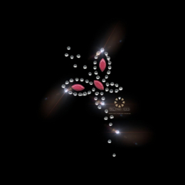 Strass Bügelbild Applikation Schmetterling Rot Clear 230501