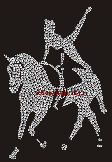 Hotfix Strass Bügelbild Pferd Voltigieren Crystal 120624 Applikation Strassmotiv Reitsport