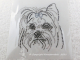 Strass Bügelbild Hund Yorki Yorkshire Rüde 110812