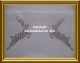 Hotfix Bügelbild Reh Hirsch Paar klein Jagd Janker Farbwahl 110303