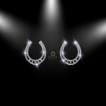 Strass Bügelmotiv Hufeisen Set 2 Stück Crystal 110307 Hotfix Applikation Reitsport
