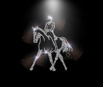 Hotfix Strass Bügelbild Pferd Reiter Dressur Traversale Crystal 110930 links Applikation