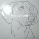 Hotfix Strass Bügelbild Hund Dog Weimeraner Kopf Zucht Applikation Motiv 121209
