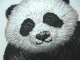 Patch Applikation Hotfix Bügelbild Panda Bär 15657-005
