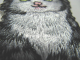Applikation Hotfix Bügelbild Katze Kätzchen B 15570-002