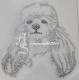 Hotfix Strass Applikation Bügelbild Pudel Pudelkopf 130702