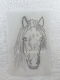 Bügelbild Strass Pferdekopf Reiten Black Diamond u.Crystal. 140322