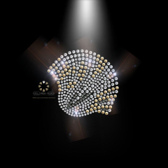 Hotfix Strass Applikation Muschel AB Weiß Strassmotive, Strass Bügelbild 100917 Hotfix Strass Applikation Muschel AB Weiß Strassmotive, Strass Bügelbild 100917