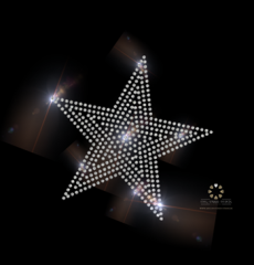 Strassstein Bügelbild gefüllter Stern – Glitzerndes Hotfix Motiv 141112 Strassstein Bügelbild gefüllter Stern – Glitzerndes Hotfix Motiv 141112