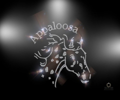 Hotfix Strass Bügelbild Motiv Appaloosa Pferd Western Cowboy Applikation 240812