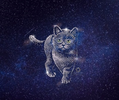 Hotfix Strass Bügelmotiv Bügelbild Katze 241002 Strass Bügelapplikation