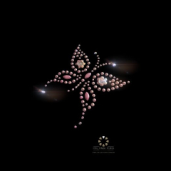 Hotfix Strass Bügelbilder Strass Applikationen zum Aufbügeln Motiv Schmetterling zur Wahl 230610